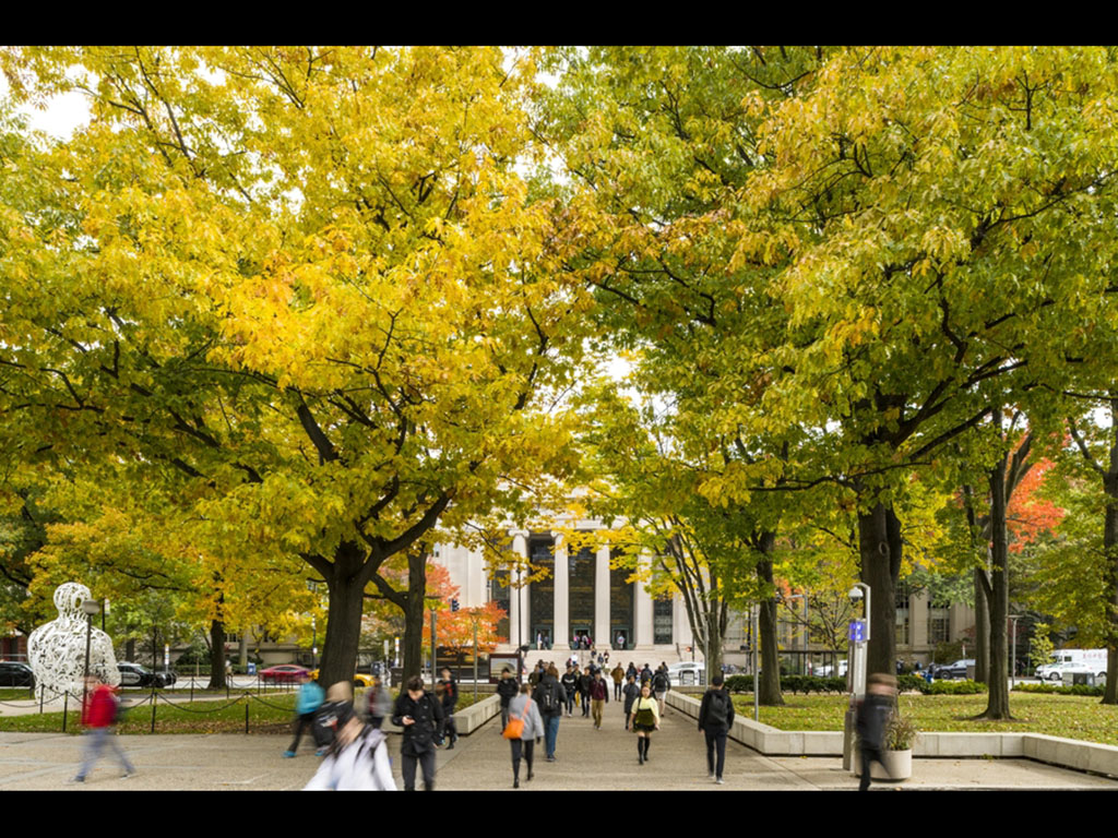 Campus in the fall