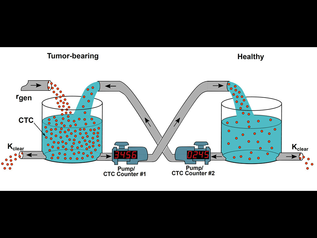 Circulate Tumor