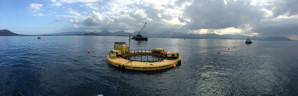 a wave energy converter